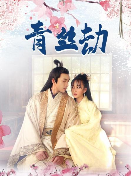 青丝劫第13集