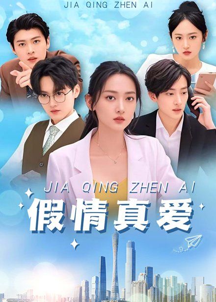 假情真爱第001-030集