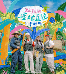 姐姐家的产地直送3