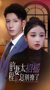 前妻太招摇，程总别撩了第16集