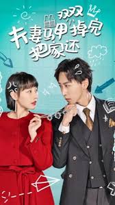 夫妻马甲双双掉完把家还第13集
