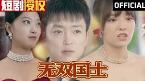 无双国士11