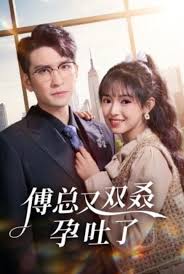傅总又双叒孕吐了第44集