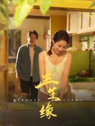 新版：半生缘第01-30集