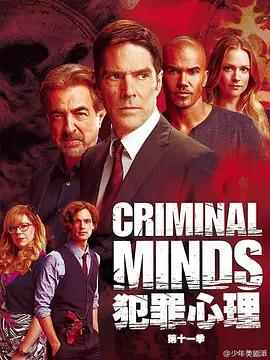 犯罪心理 第十一季第13集