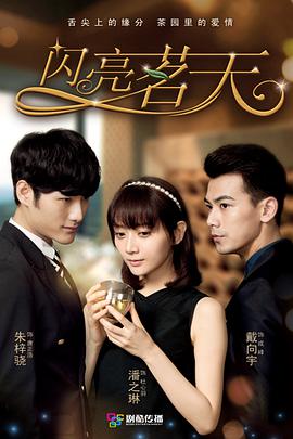 闪亮茗天第15集
