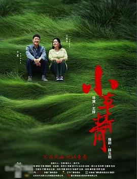 小草青青第28集