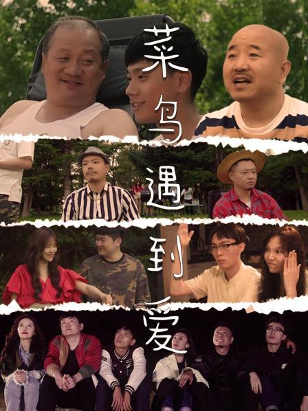 菜鸟遇到爱17