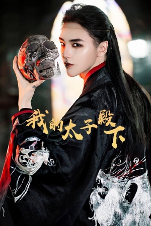 我的太子殿下第23集