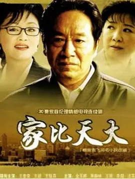 家比天大第09集