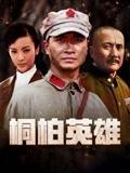 桐柏英雄第12集