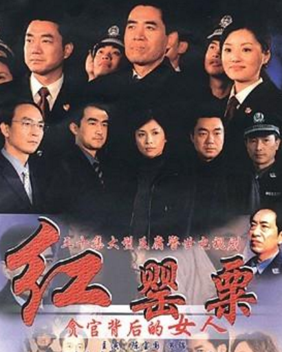 红罂粟第13集