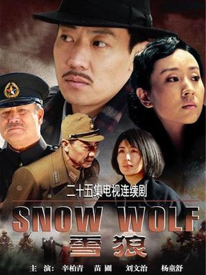 雪狼第19集