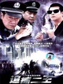 追捕二王第19集