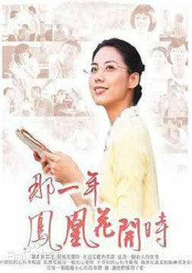 那一年凤凰花开时第13集