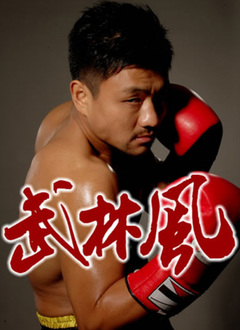 武林风2012第19集