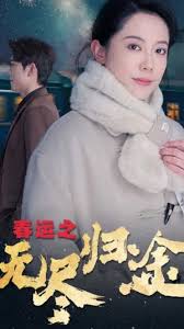 春运之无尽归途第21-49集(大结局)